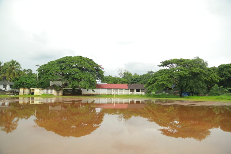 Ground with Water